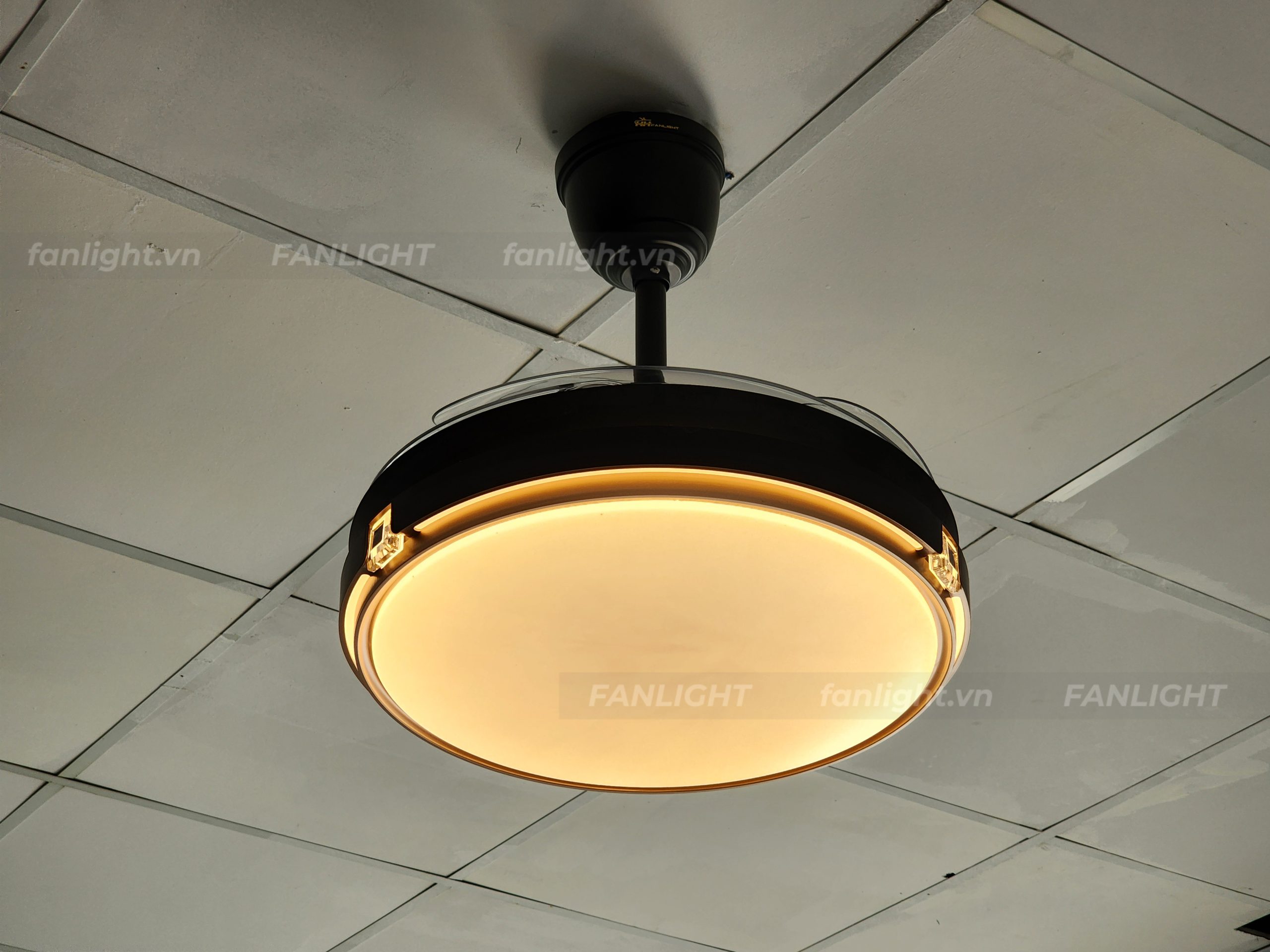 Quạt trần đèn giấu cánh FL HD-508 ánh sáng vàng