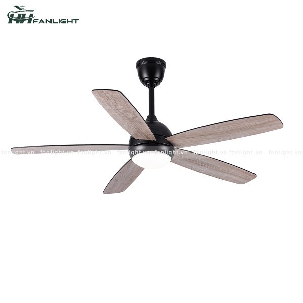 Quạt trần đèn hiện đại FL HD-503