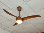 Quạt trần đèn hiện đại FL HD-304N - Ảnh 8