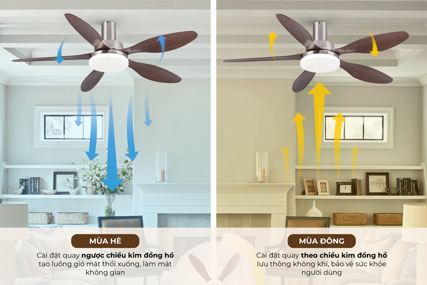Quạt trần động cơ đảo chiều ứng dụng cho mùa hè và mùa đông