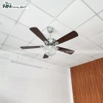 Quạt trần đèn cổ điển FL CD-503 - Ảnh 8